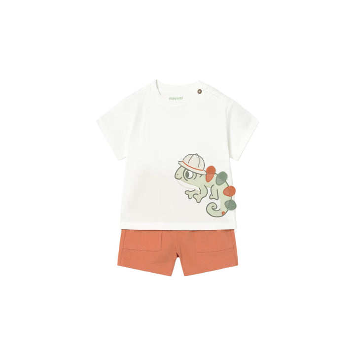 Baby Knit Shorts & T-Shirt Chameleon 2-Piece Set MYR0126