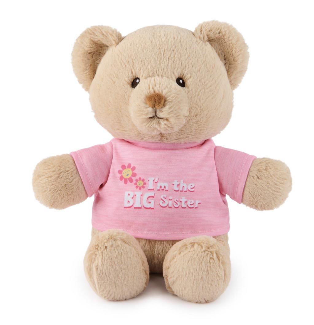 I’m The Big Sister Bear, Pink 12” GUN926