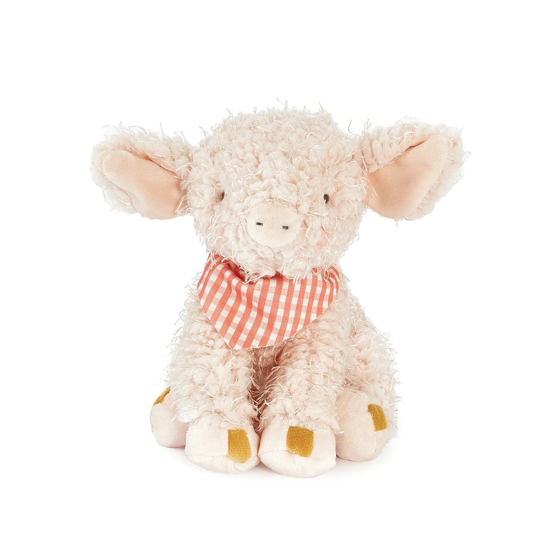 Hammie the Pig BBB