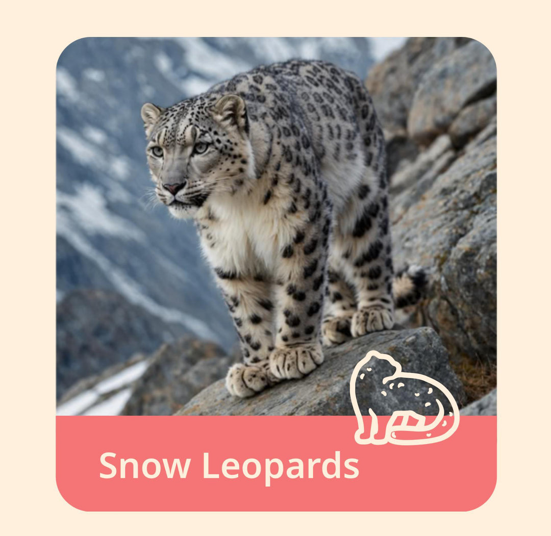 The Ascent Bracelet-Snow Leopard FAH325