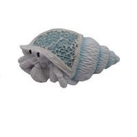 Mosaic Hermit Crab FTG