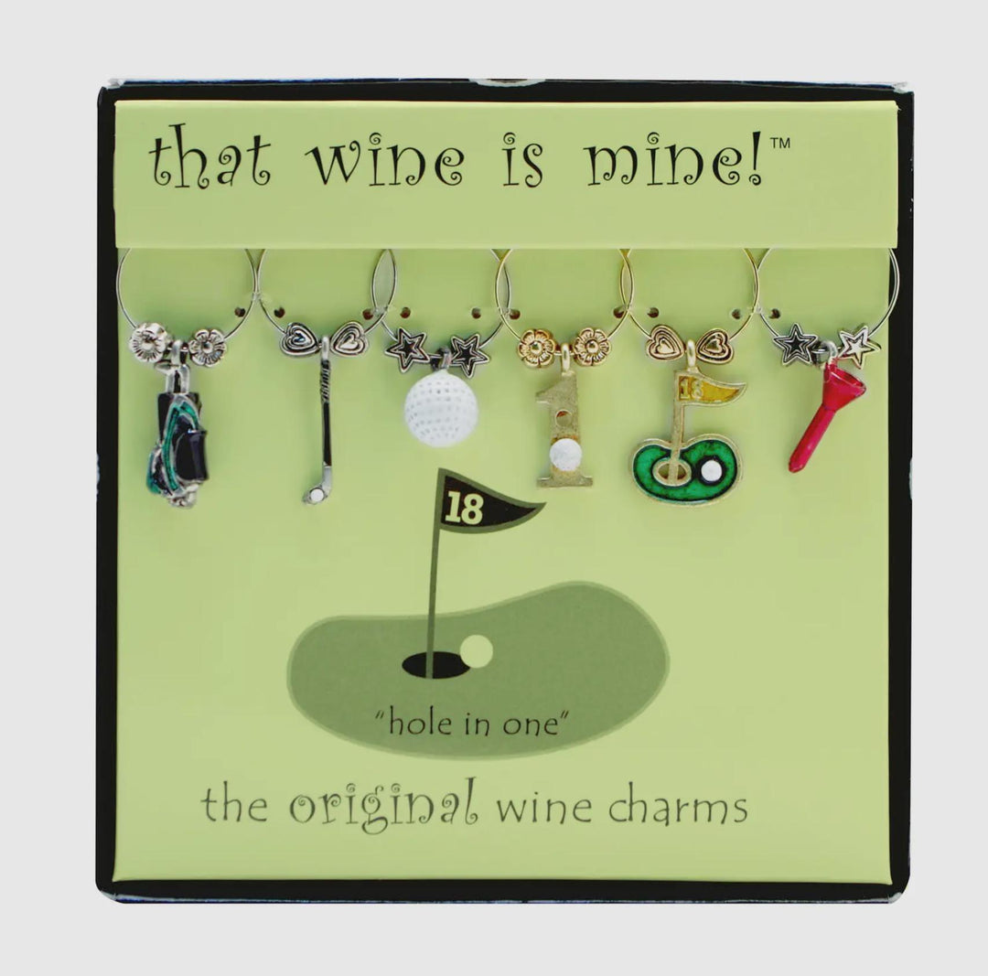 6 Piece Painted Wine Charms SUP925