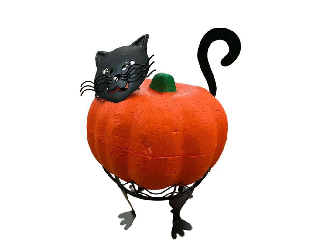Cat Pumpkin Holder w/LED Eyes EVG