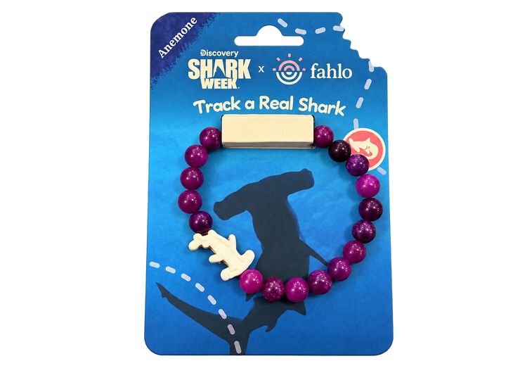 The Voyage Bracelet-Hammer Head Ltd. Edition FAH726