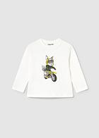 Motorcycle Fox Set MYR825