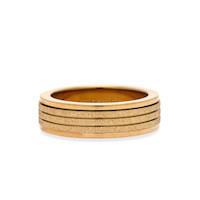 Glimmer Fidget Ring PUR426