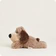 Brown Dog Warmies Jr. WRM326