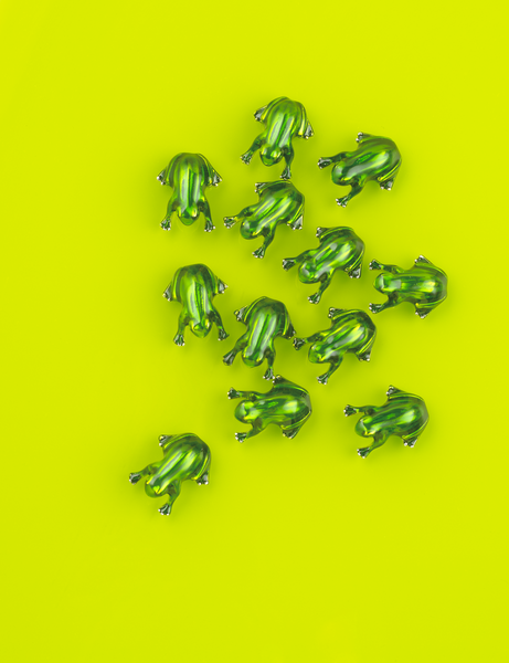 Lucky Little Frog Charm GNZ725