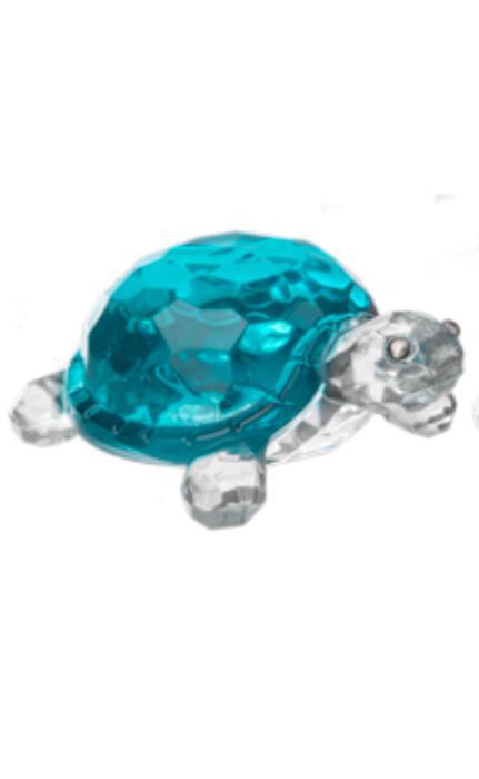 Lucky Coastal Turtles GNZ725