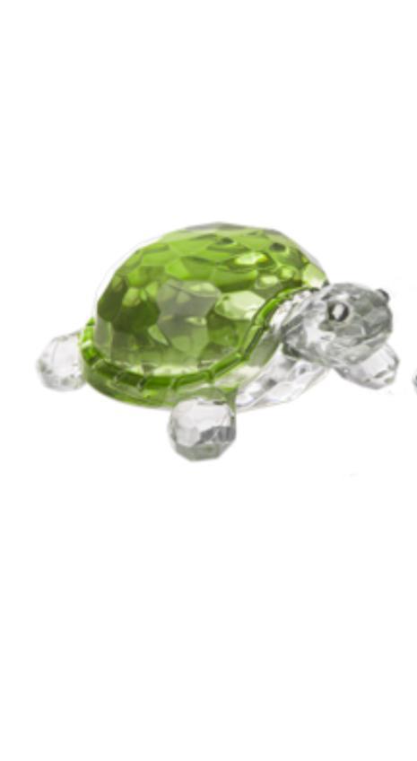 Lucky Coastal Turtles GNZ725
