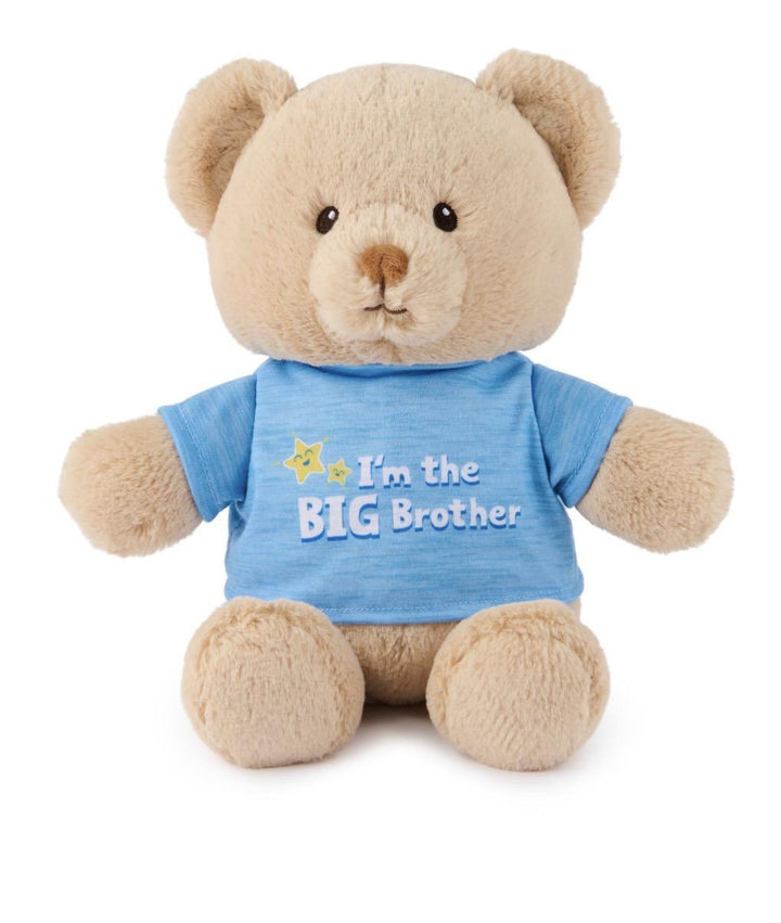 I’m The Big Bother Bear, Blue 12”