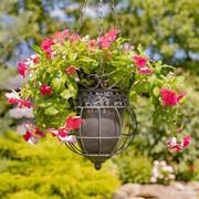 Hanging Ornate Metal Basket Planters ZAR526