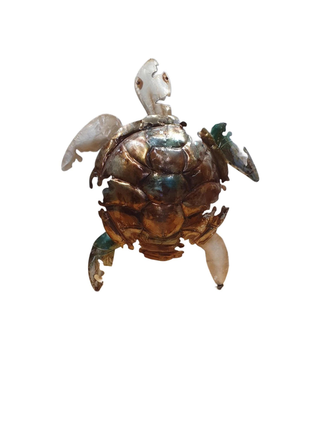 Turtle Torn Metal Wall Decor KAC