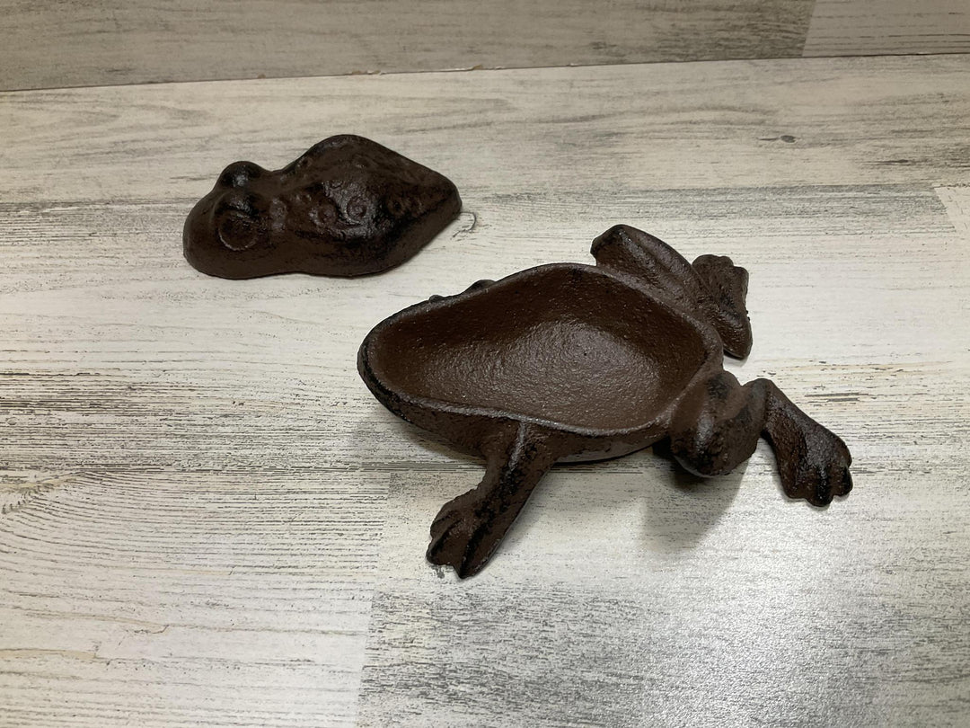 Frog Hide A Key MDS