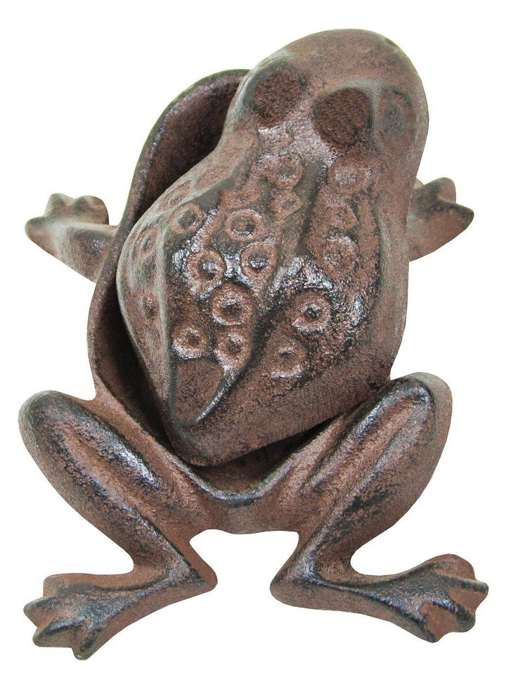 Frog Hide A Key MDS