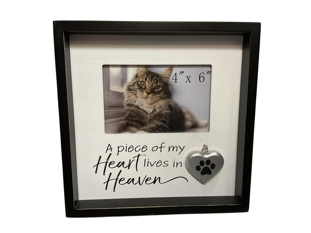 Wood Pet Memory YNG