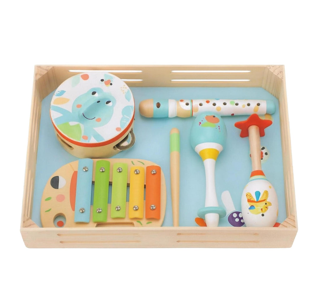 Musical Instrument Set BBX426